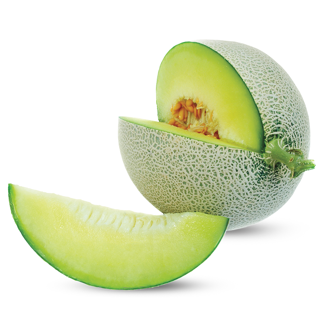 Honeydew
