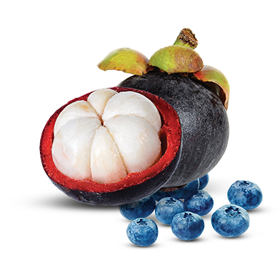 Blueberry Mangosteen Tart