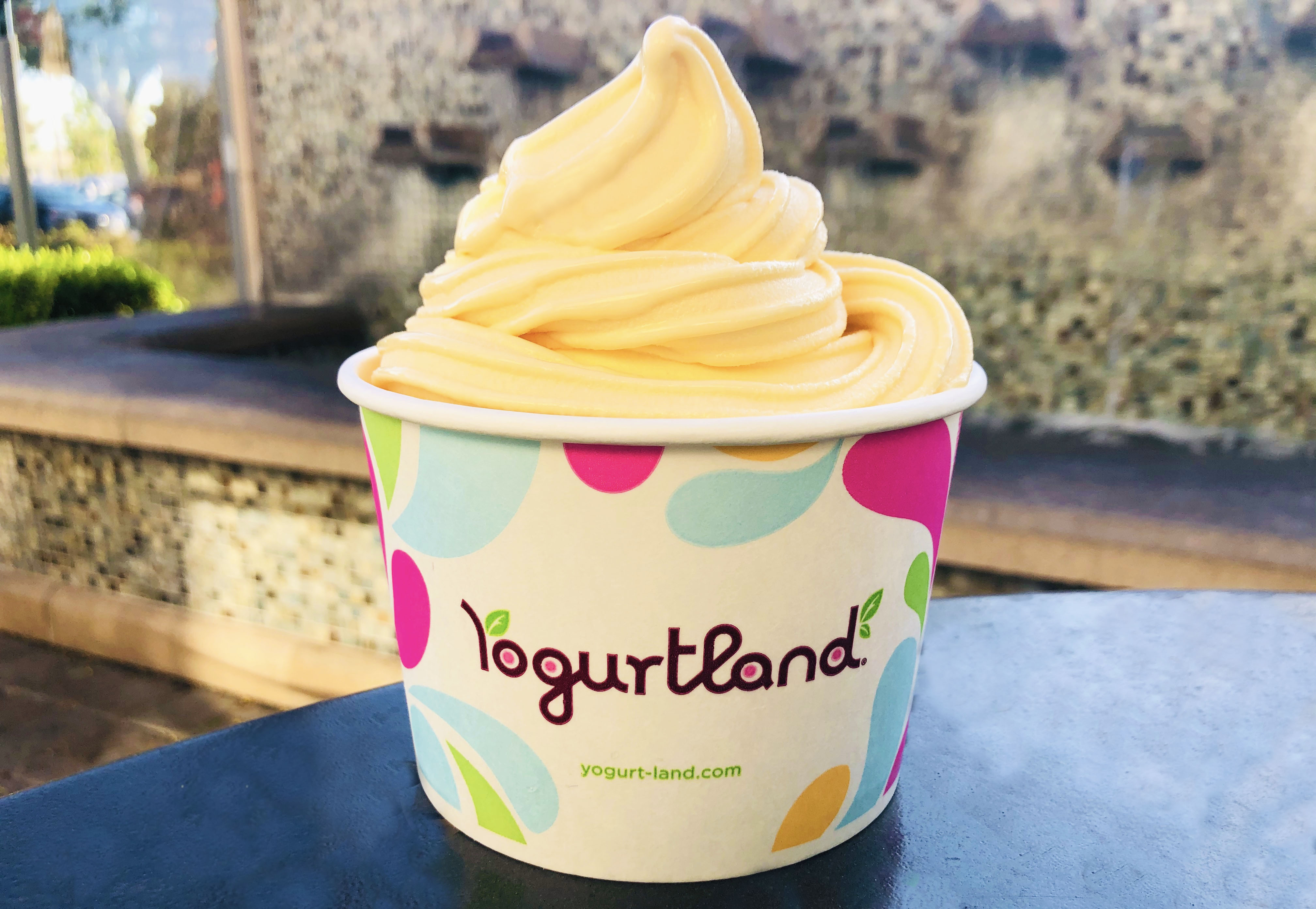 Yogurtland News Yogurtland Summer With New Orange Blossom