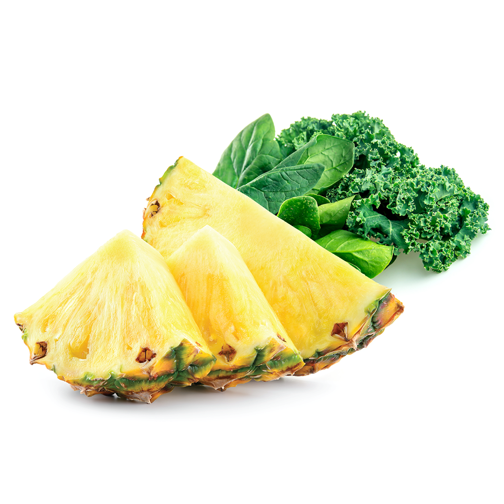 Plant-Based Pineapple Paradise Sorbet 