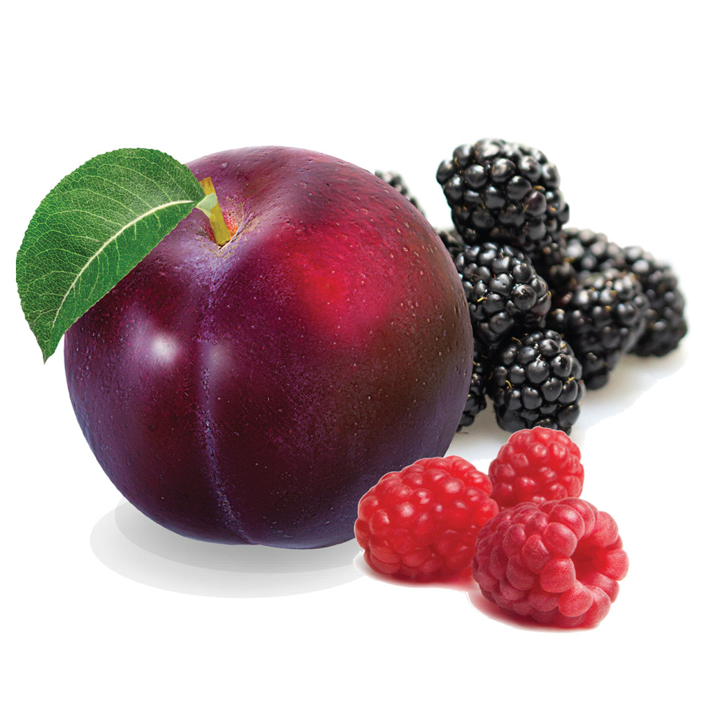 Sugar Plum Berry Tart