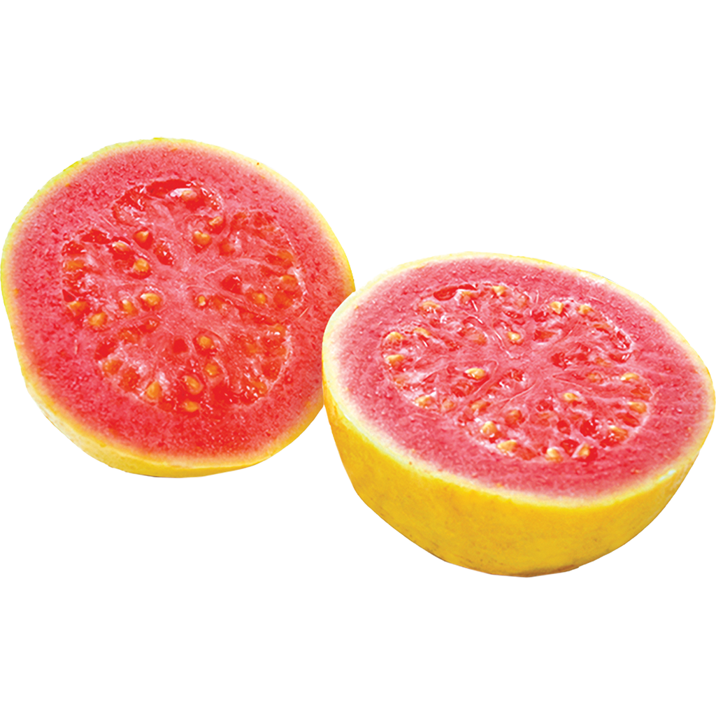 Guava Sorbet