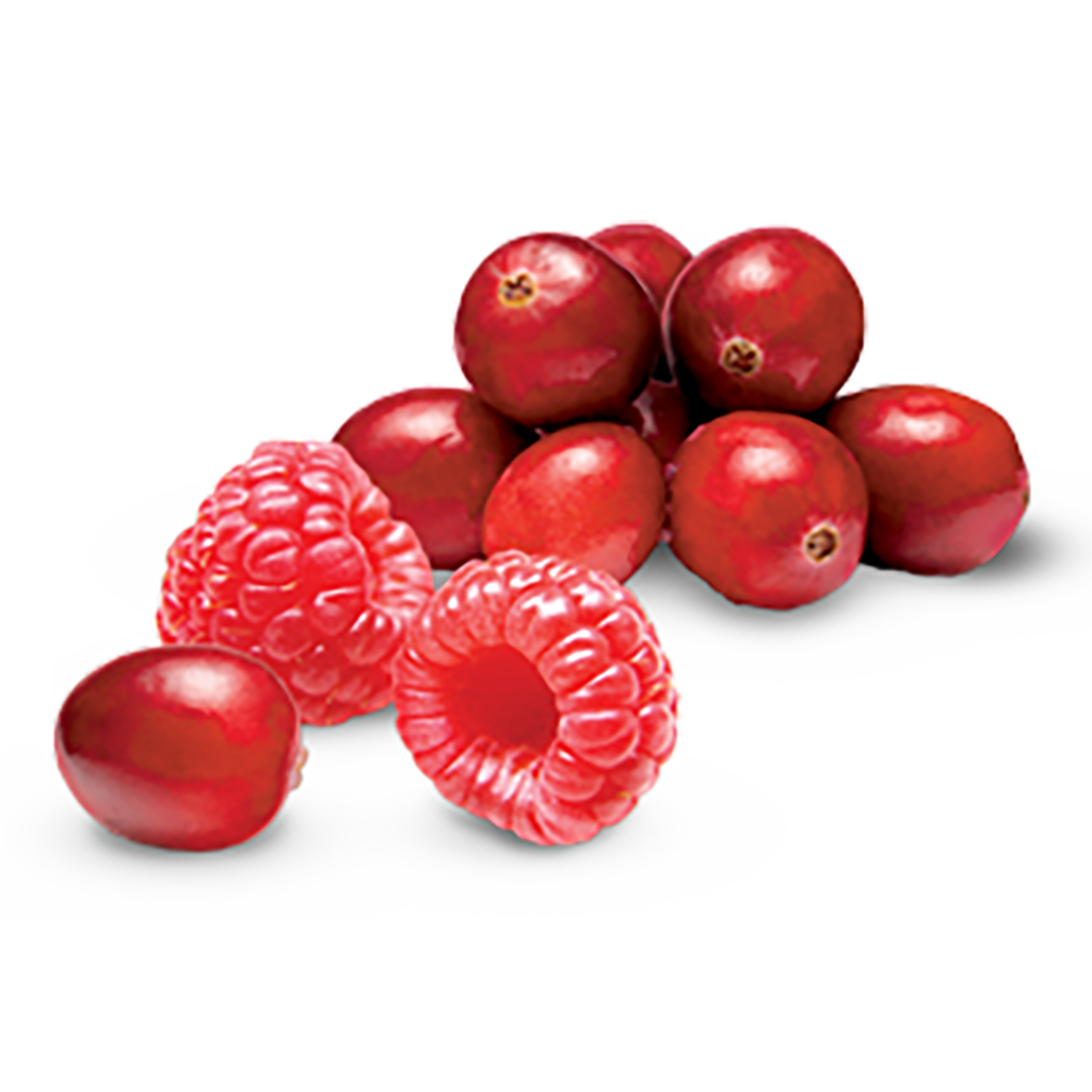 Cranberry Raspberry Tart