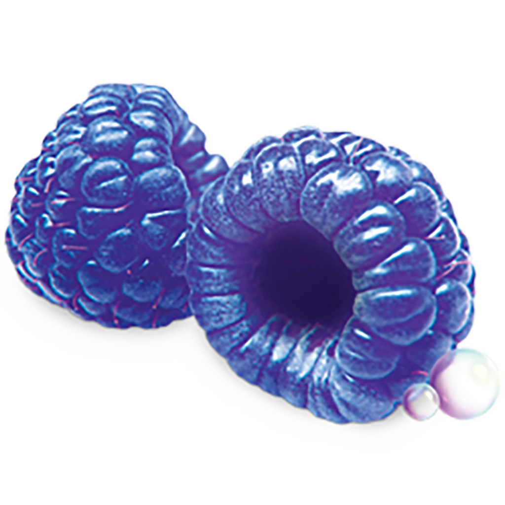 Blue Raspberry Sorbet