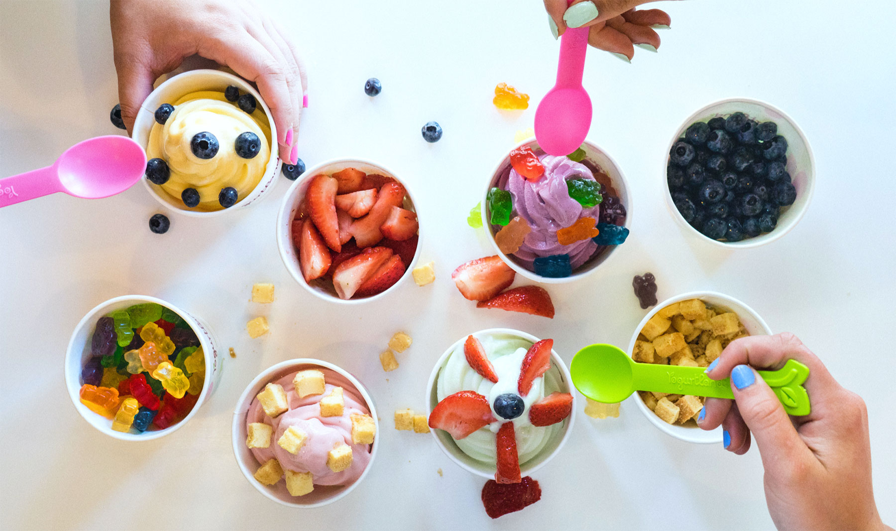 Yogurtland Franchise