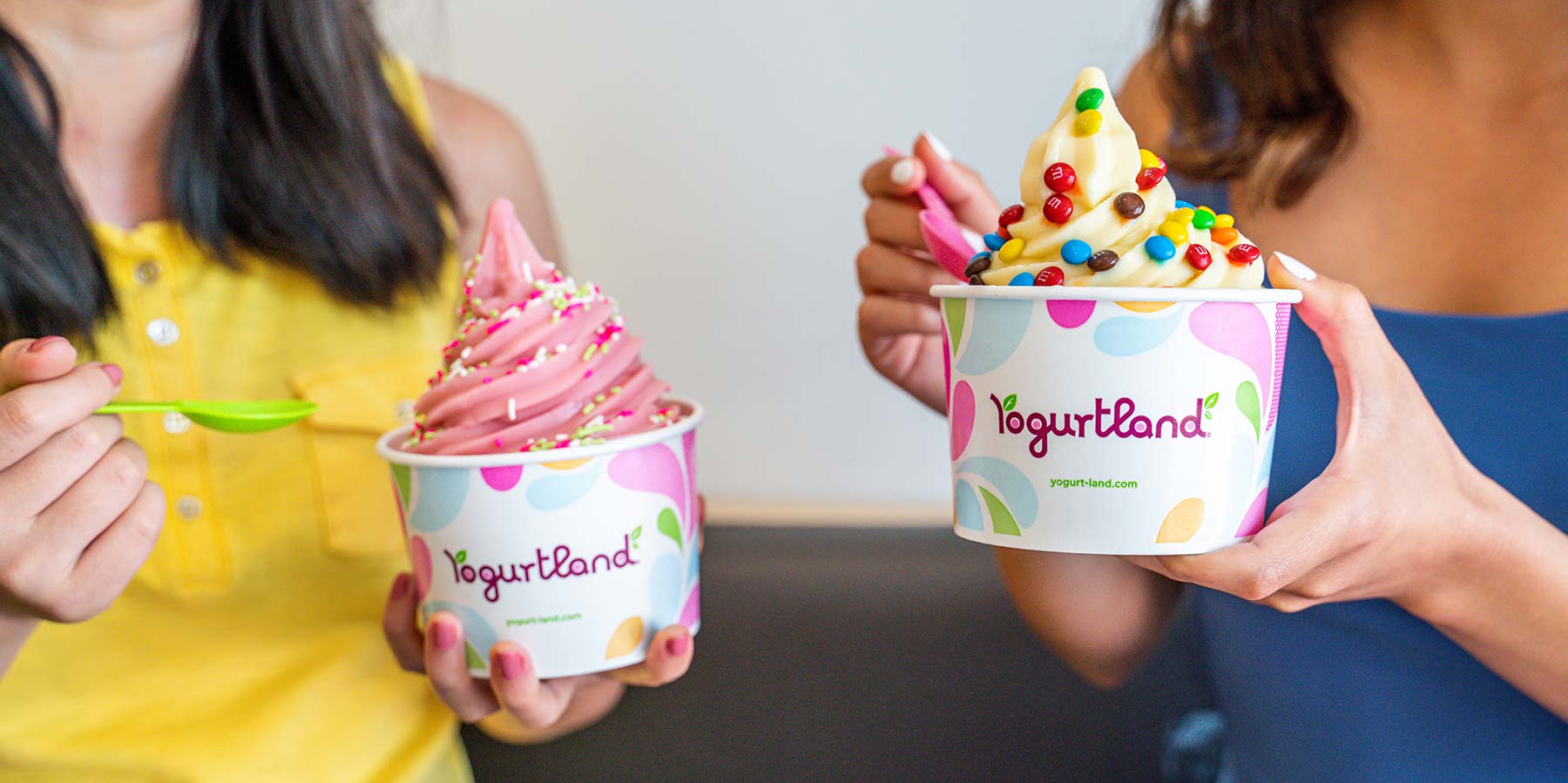 Yogurtland Franchise