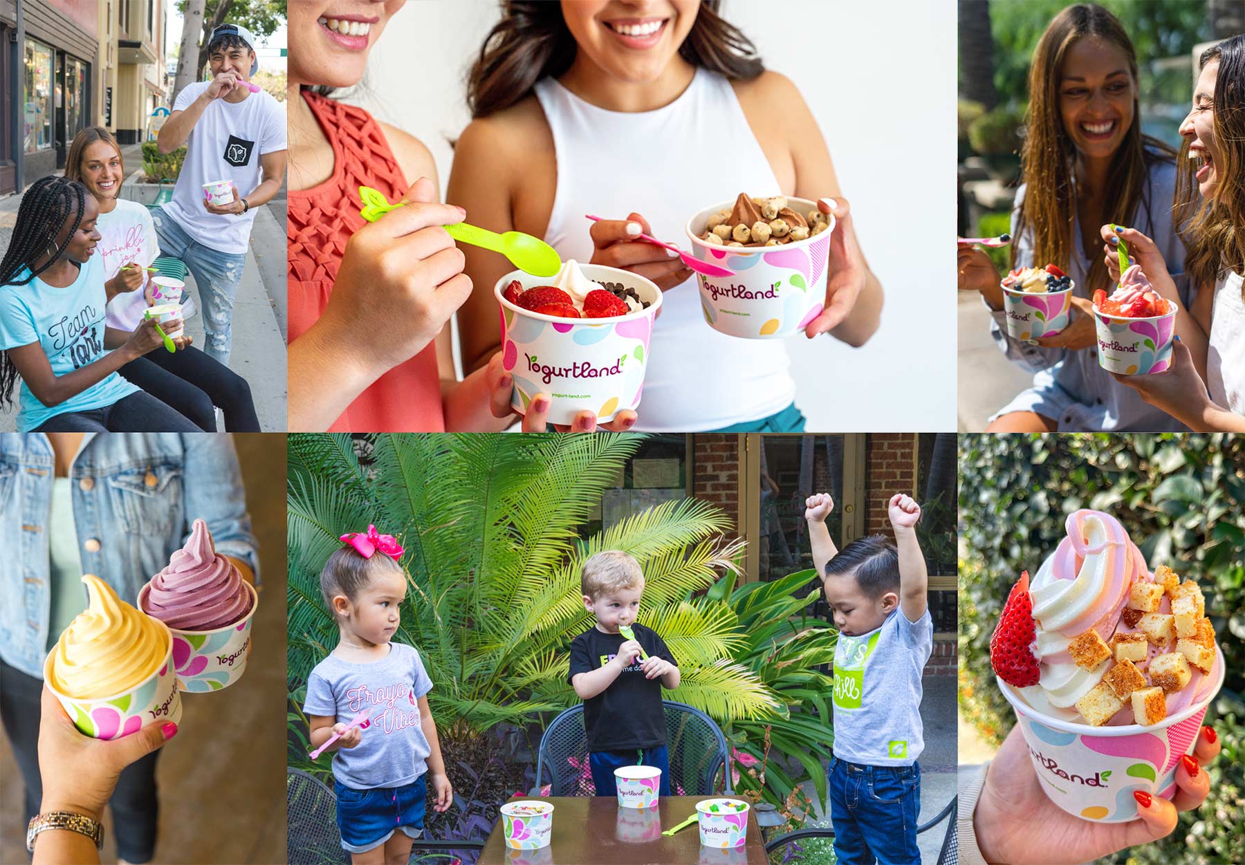 Yogurtland Franchise