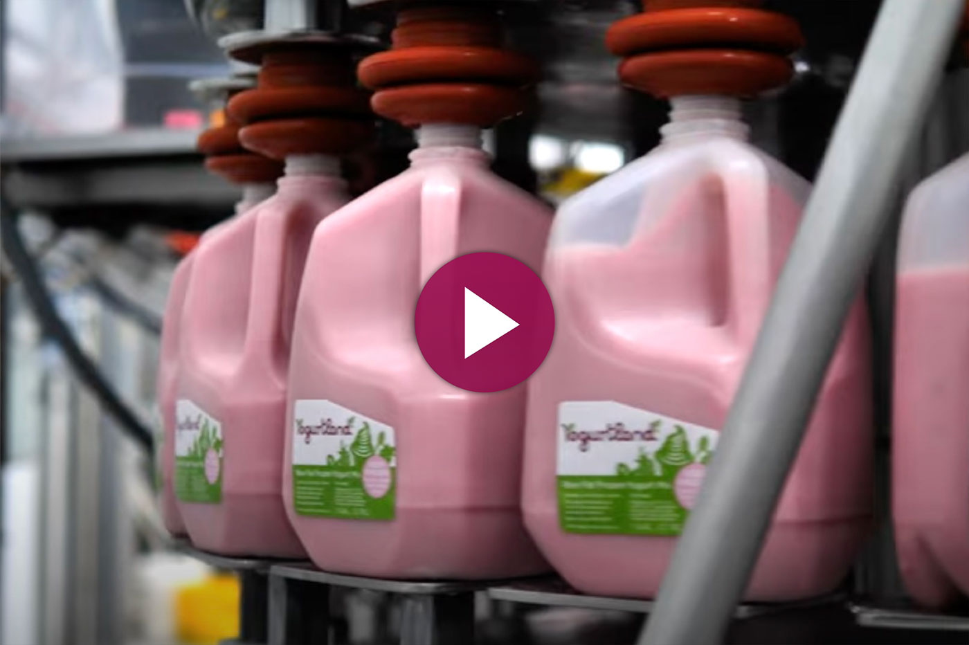 Yogurtland Our Story