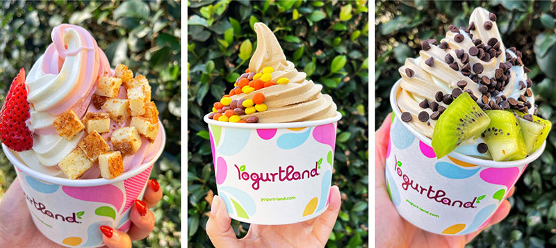 Cups of Yogurtland frozen yogurt.