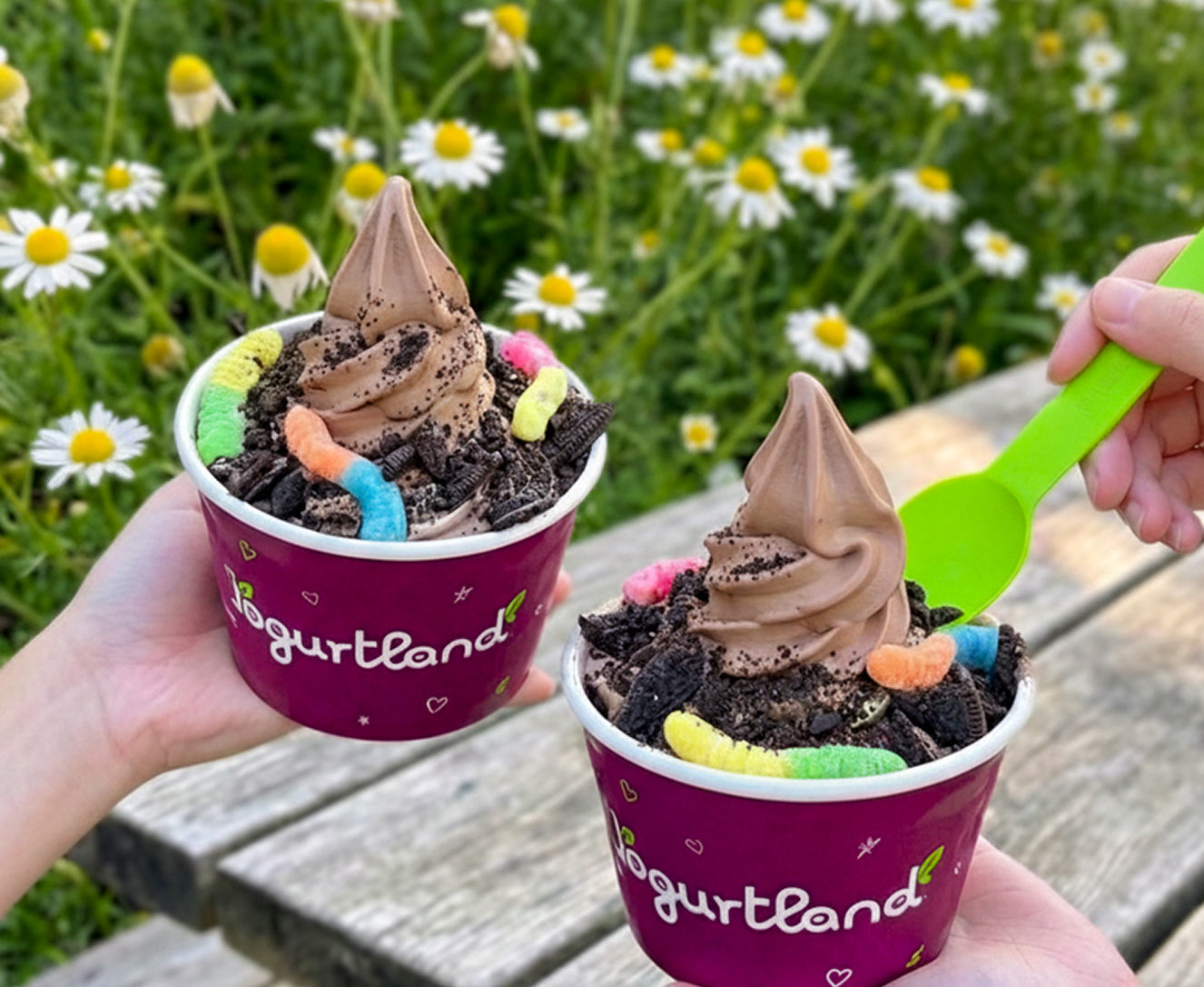Two Yogurtland frozen yogurt cups with an assortment of toppings