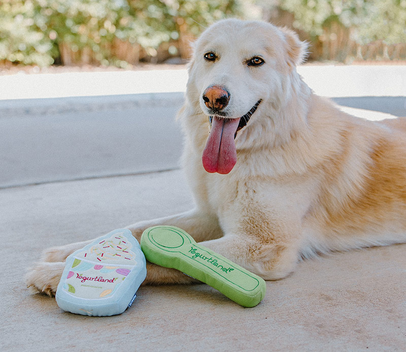 A dog laying next to two Yogurtland pet toys