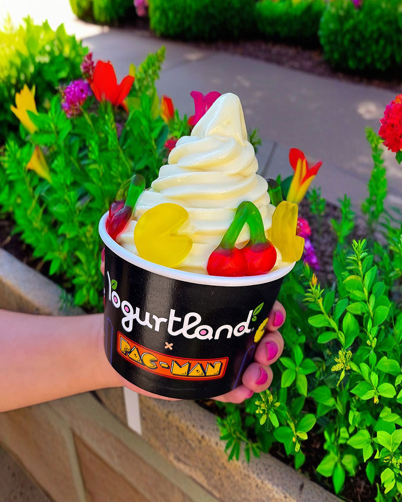 A cup of Yogurtland frozen yogurt with candy toppings.