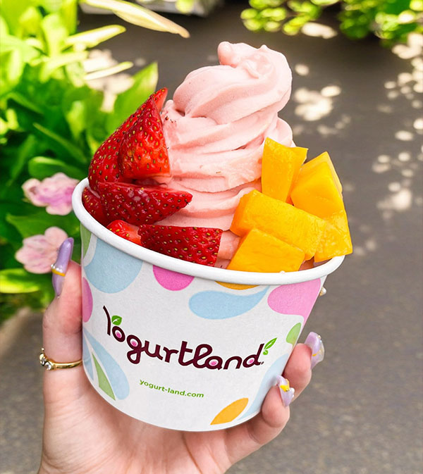 Yogurtland Home