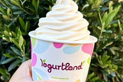 Start the New Year Right with Yogurtland's New Plant-Based Brown Sugar Vanilla Flavor Made with Oat Milk