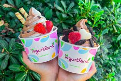 Yogurtland Swirls into Love with Sweet New Seasonal Flavors
