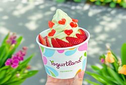 Bloom into Spring with Yogurtland's Latest Seasonal Creations