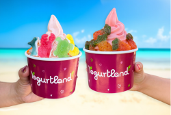 Yogurtland Unveils Flavor-Packed Summer & Sweet Cruise Giveaway with Princess Cruises