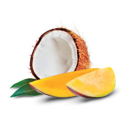 Mango Coconut Tart