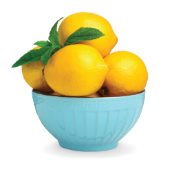 Lemon Sorbet