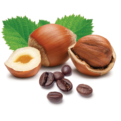 Hazelnut Cafe NSA