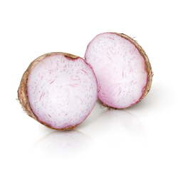 Taro