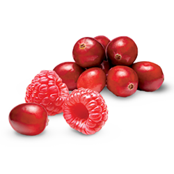 Cranberry Raspberry Tart